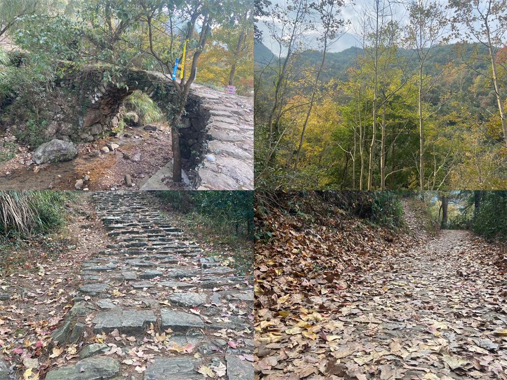 1732673376866254.jpg 1.jpg